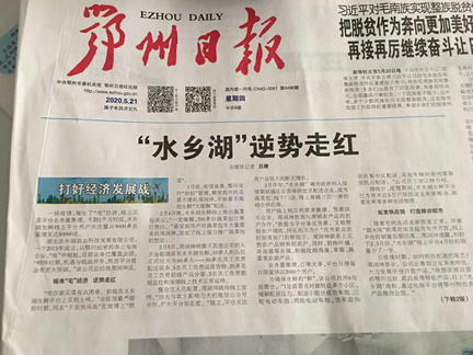 “水乡湖”逆势走红